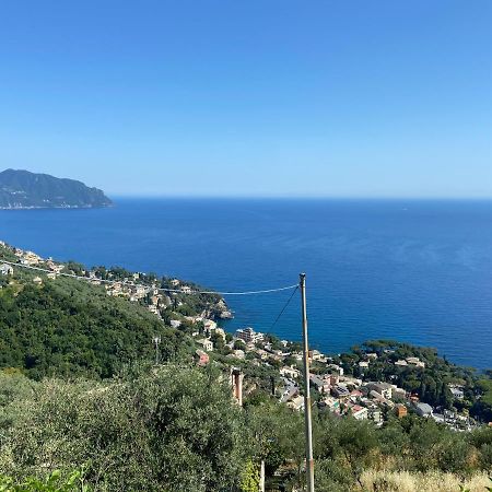 Casa Da Lira Lägenhet Poggio Favaro-San Bernardo Exteriör bild
